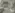 Плитка настенная Primavera Hypnose Grey Decor 05 glossy  